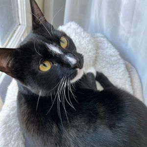 Meet your Posher, Marcus